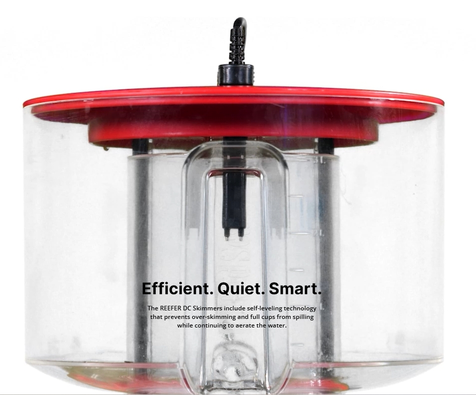 Protein Skimmer Reef - Red Sea REEFER DC ligent Protein