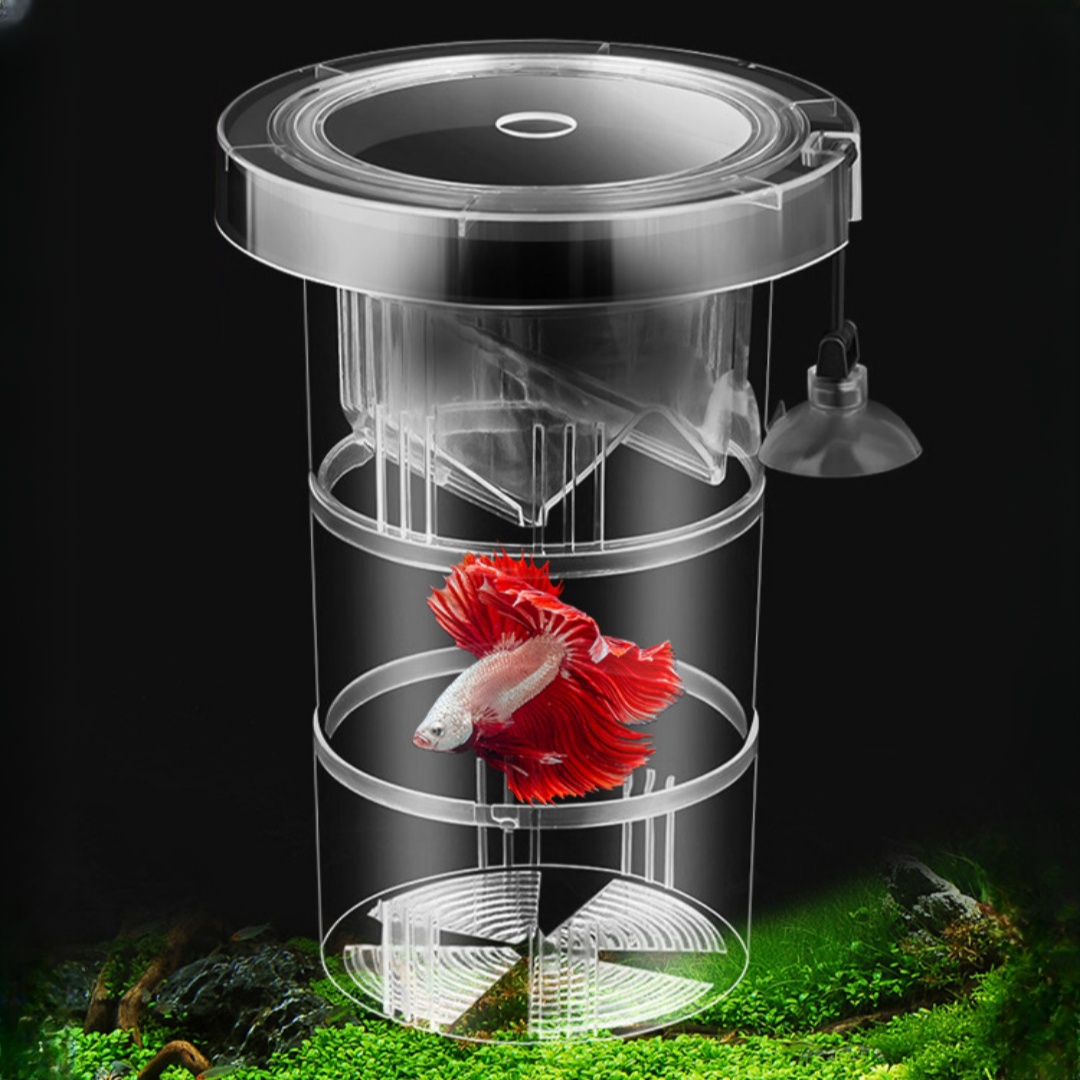 Aquarium Fish Auto Feeder - Acrylic Floating Fish Breeding Isolation Box