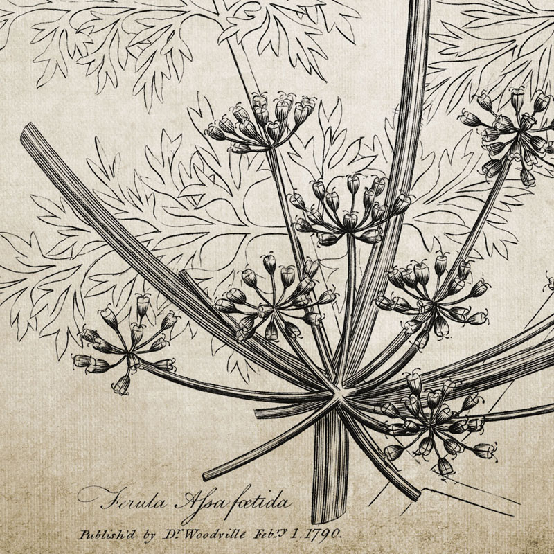 Antique Botanical Posters and  - Live Plant Fertilizer recension och pris