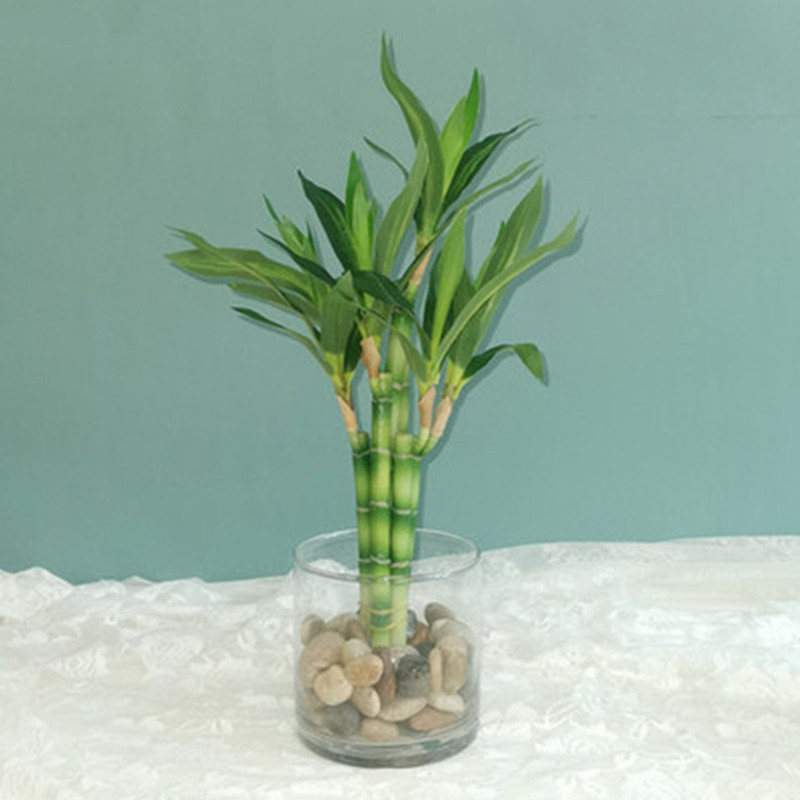 New 40cm rFtificial Lucky Bamb - Aquarium Fish Fishing recension och pris