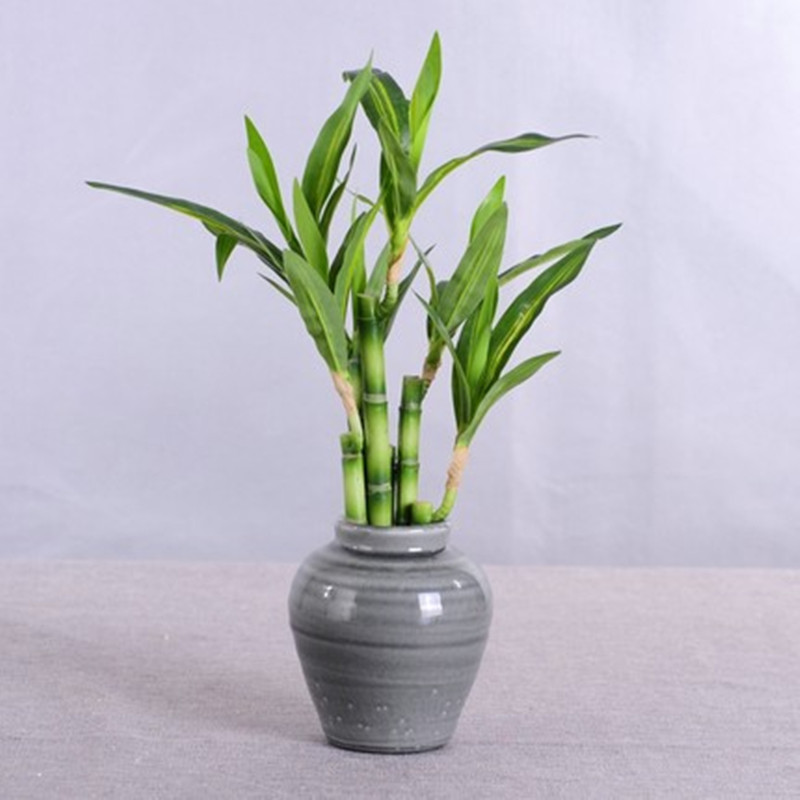 New 40cm rFtificial Lucky Bamb - Aquarium Fish Fishing recension och pris