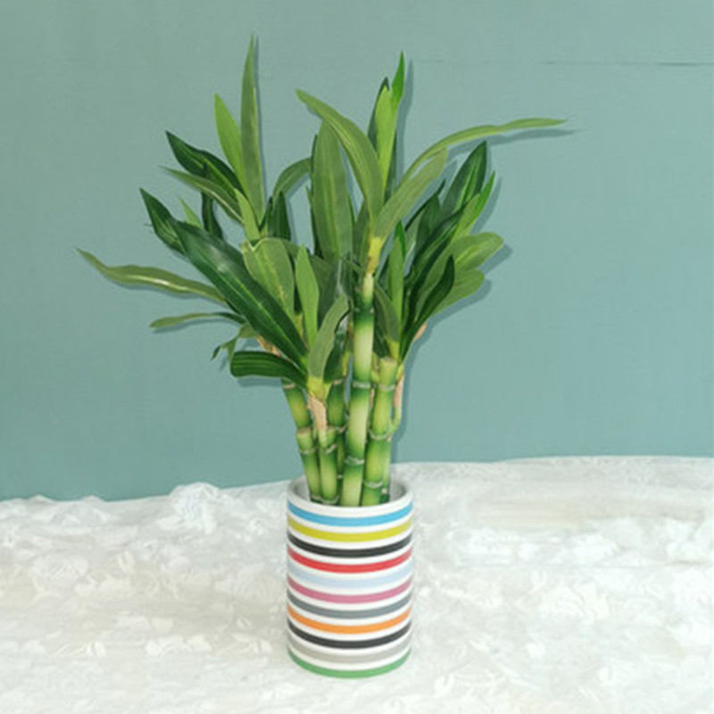 New 40cm rFtificial Lucky Bamb - Aquarium Fish Fishing recension och pris
