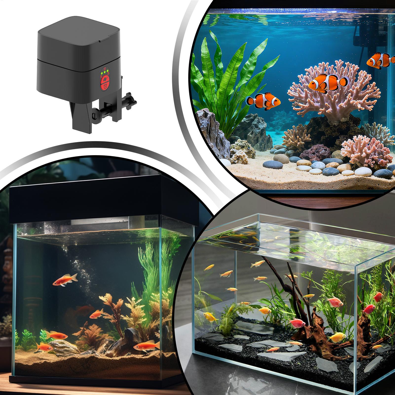 Automatic Fish Feeders Automat - Aquarium Fish Auto Feeder recension och pris