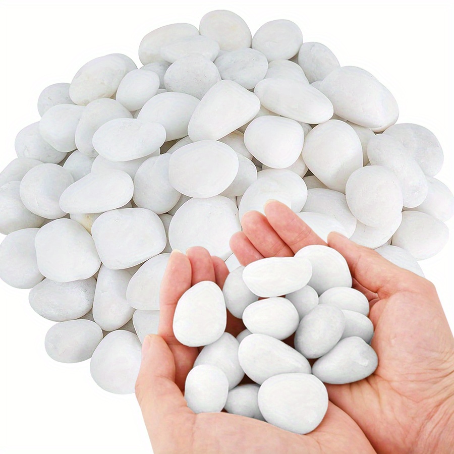 200/400g White High Polished N - Aquarium Fish Fishing recension och pris