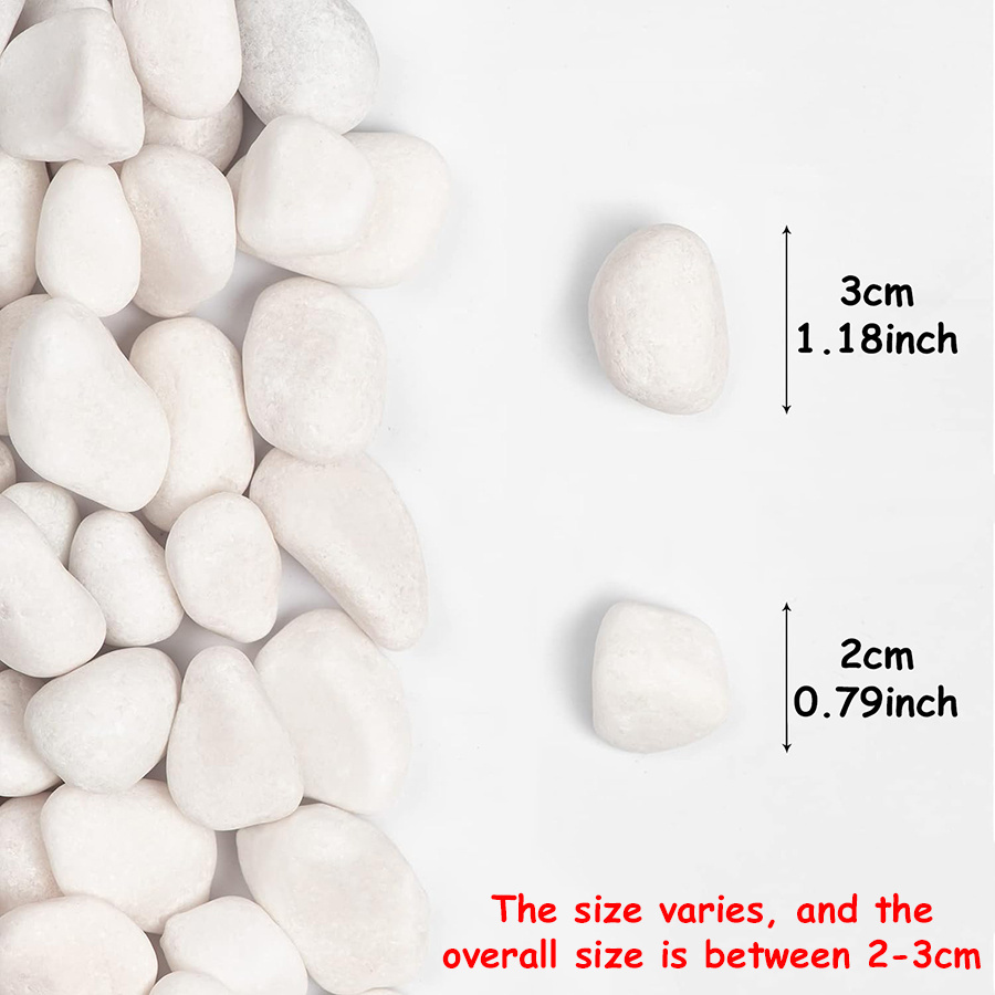 200/400g White High Polished N - Aquarium Fish Fishing recension och pris