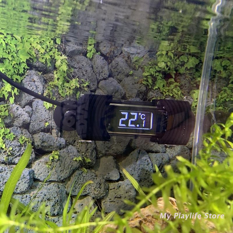 Aquarium Thermometer Digital S - Aquarium Fish Freshwater recension och pris