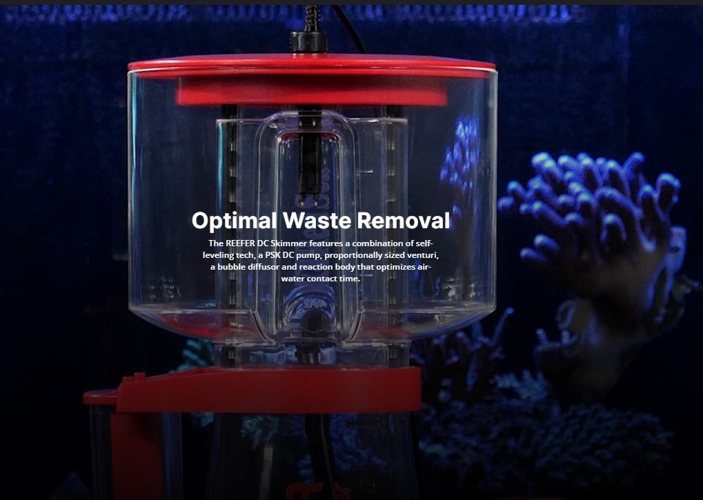 Red Sea REEFER DC ligent Prote - Protein Skimmer Reef recension och pris