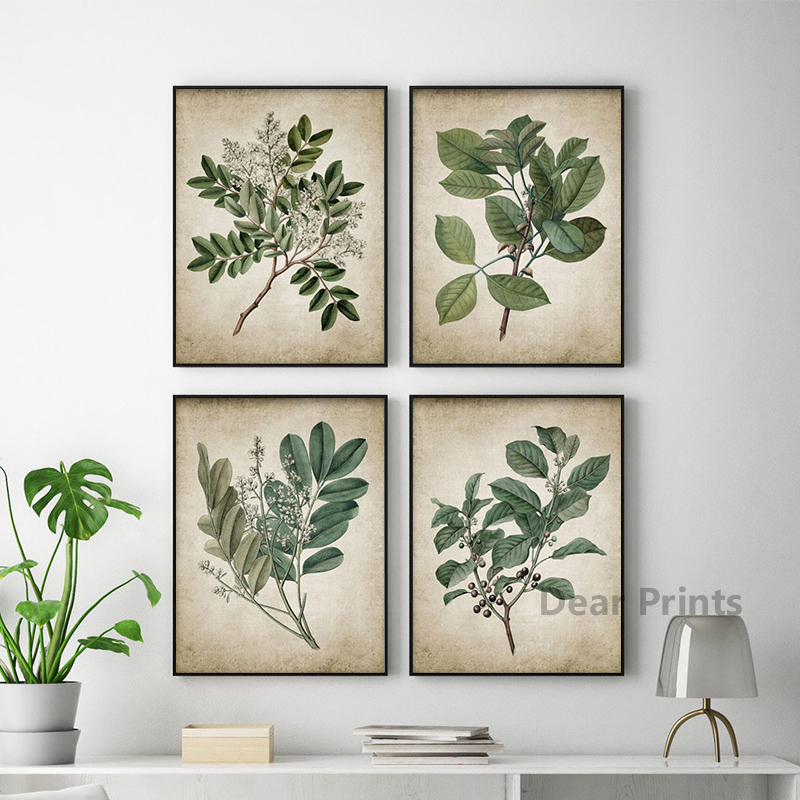 Vintage Green Leaf Botanical P - Live Plant Fertilizer recension och pris
