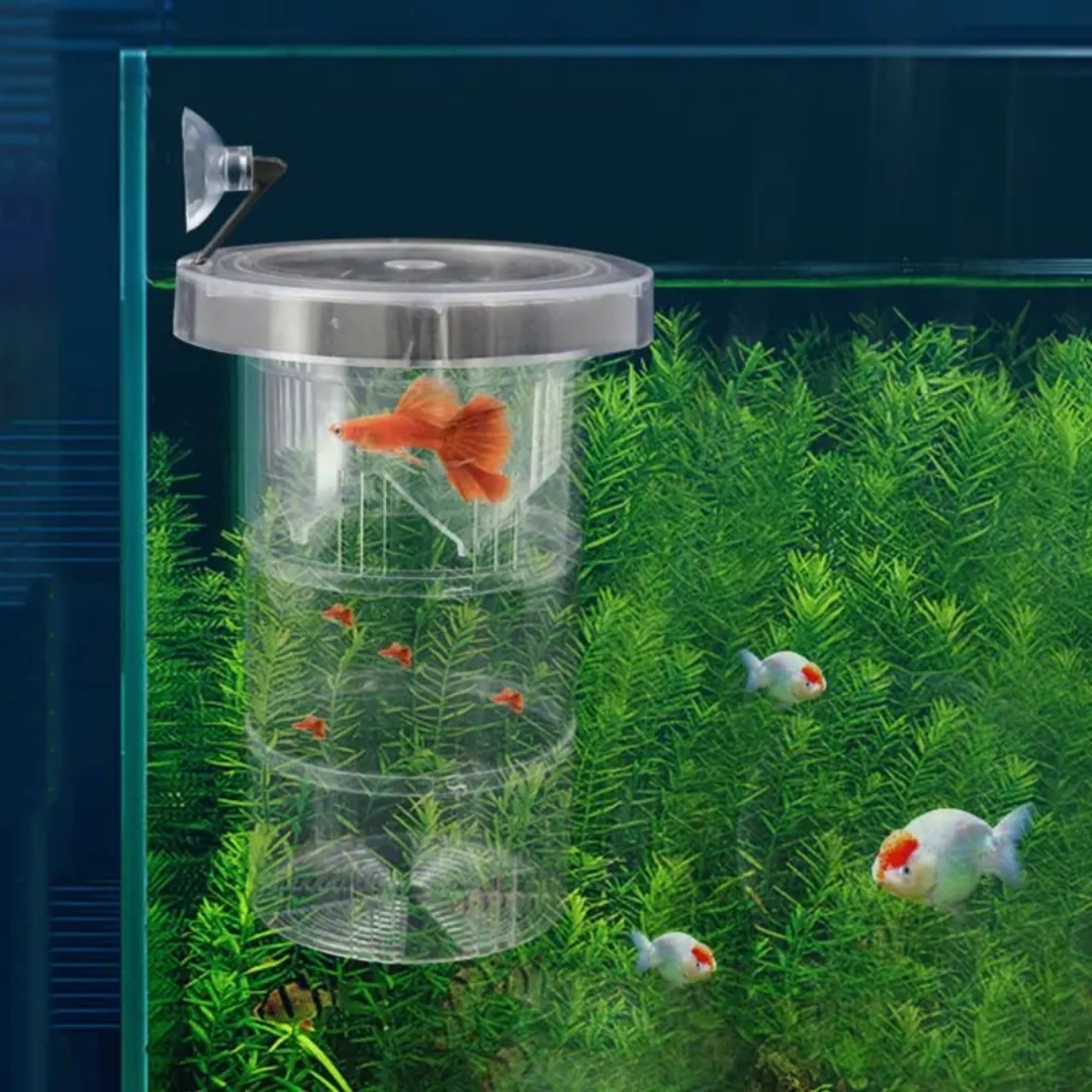 Acrylic Floating Fish Breeding - Aquarium Fish Auto Feeder recension och pris