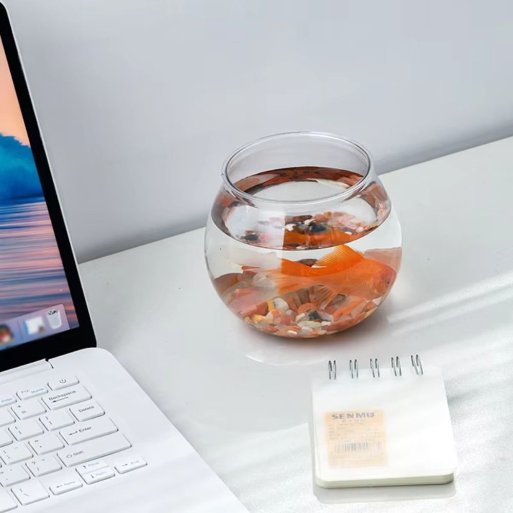 New Transparent Fish Tank Roun - Aquarium Goldfish recension och pris